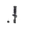Fcs Struts COMPLETE STRUT ASSEMBLY 3333716R - alternate 3